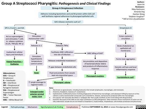 beta strep gp a culture|Clinical Guidance for Group A Streptococcal Pharyngitis.